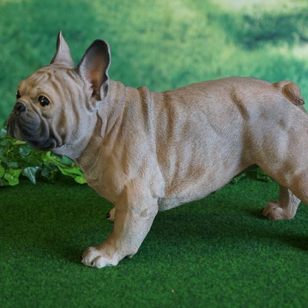 Tierfigur Hund französische Bulldogge braun 33 cm hoch handbemalt