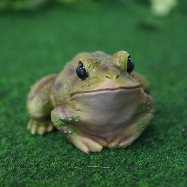 Tierfigur Frosch grün