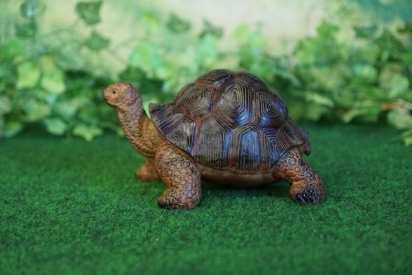 Tierfigur Schildkröte